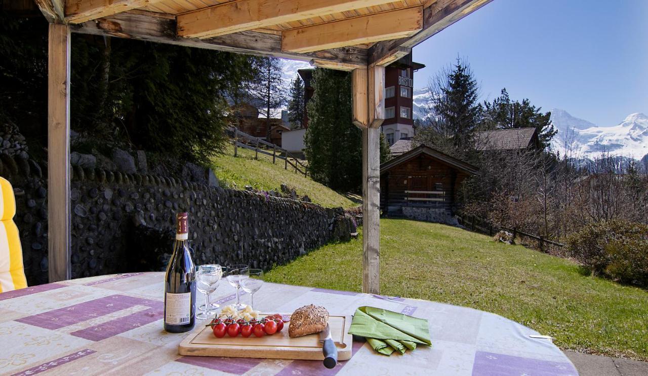 Chalet Steingaertli 1 Wengen Ngoại thất bức ảnh